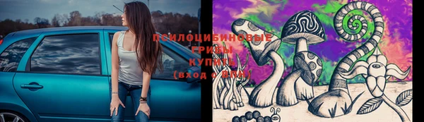 бошки Лиски