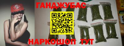 стафф Камышлов