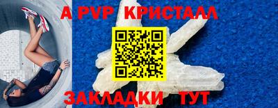 стафф Камышлов