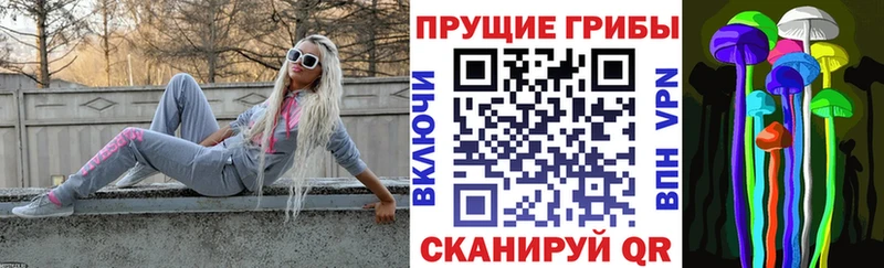 Галлюциногенные грибы Psilocybine cubensis  хочу   Красноярск 