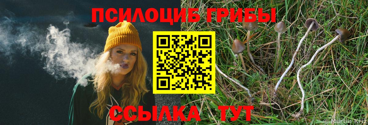 Псилоцибиновые грибы Magic Shrooms Красноярск