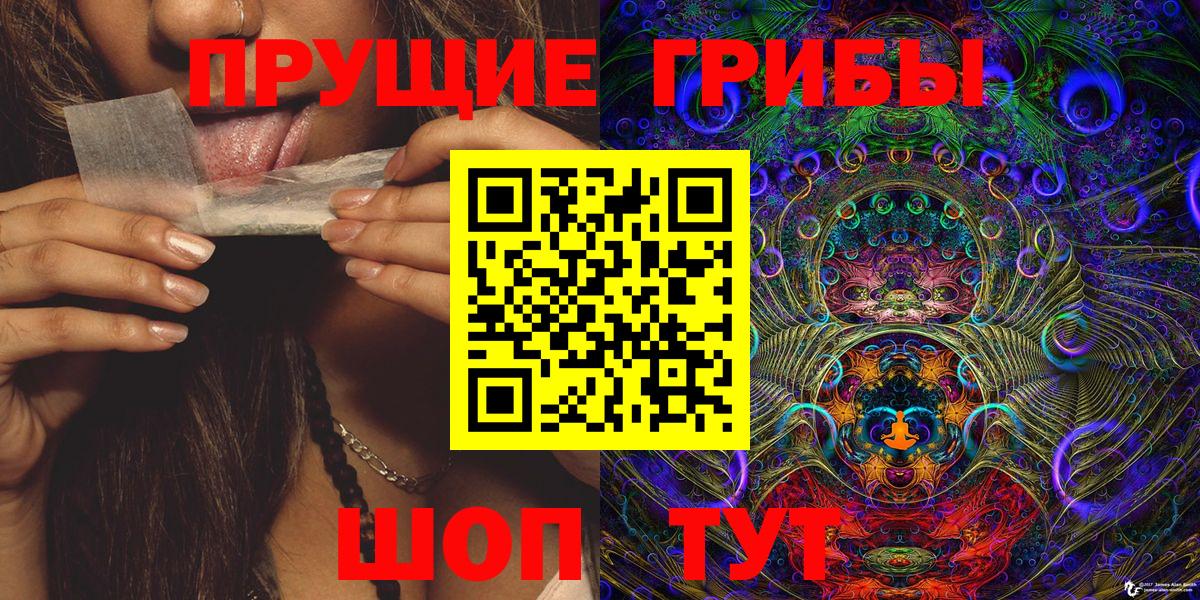 Галлюциногенные грибы MAGIC MUSHROOMS  Вход с VPN  где купить наркоту  Красноярск  Псилоцибиновые грибы Magic Shrooms 